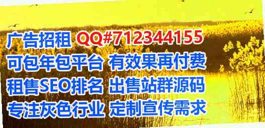固安代母传媒公司